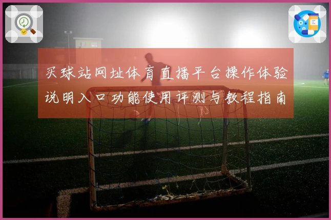 买球站网址体育直播平台操作体验说明入口功能使用评测与教程指南