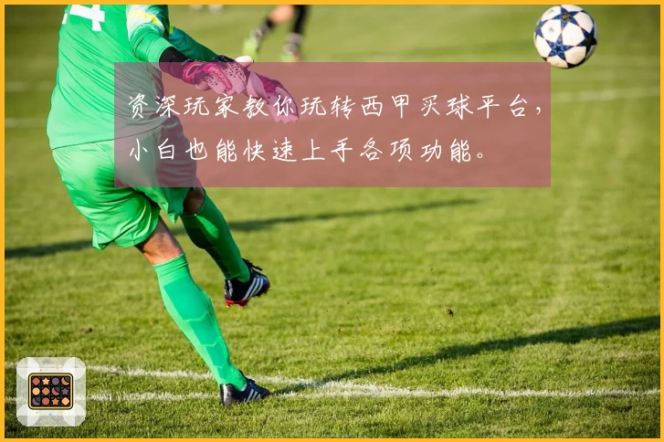 资深玩家教你玩转西甲买球平台，小白也能快速上手各项功能。