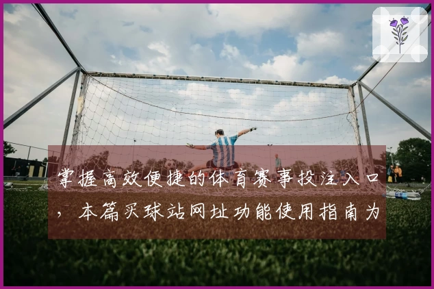 掌握高效便捷的体育赛事投注入口，本篇买球站网址功能使用指南为您全面解读
