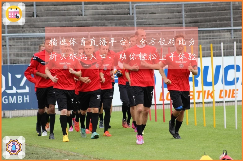 精选体育直播平台，全方位对比分析买球站入口，助你轻松上手体验