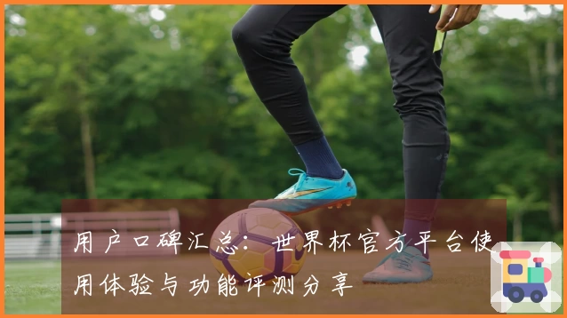 用户口碑汇总：世界杯官方平台使用体验与功能评测分享