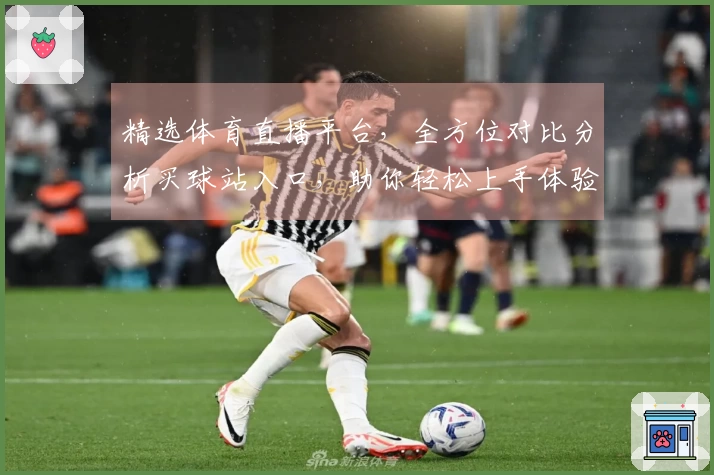精选体育直播平台，全方位对比分析买球站入口，助你轻松上手体验