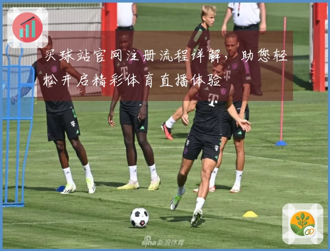 买球站官网注册流程详解，助您轻松开启精彩体育直播体验